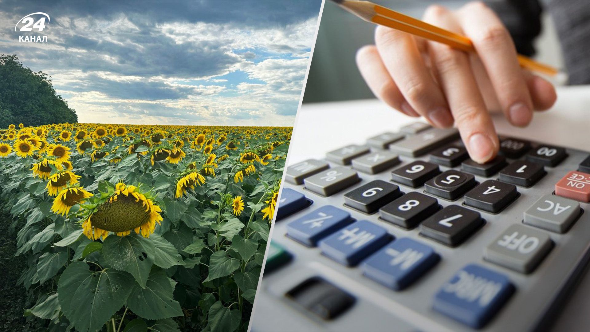 Кто в 2024 году может не платить земельный налог Кто в 2024 году может не платить земельный налог