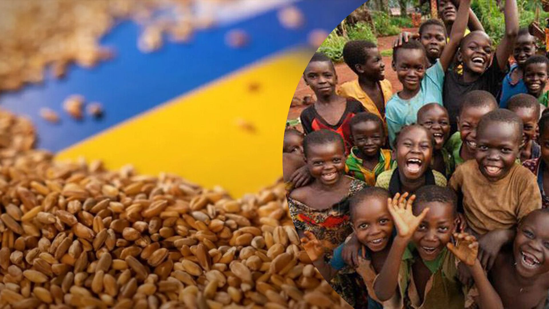 221 тисячу тонн гуманітарного зерна Україна відправила в Африку та Азію