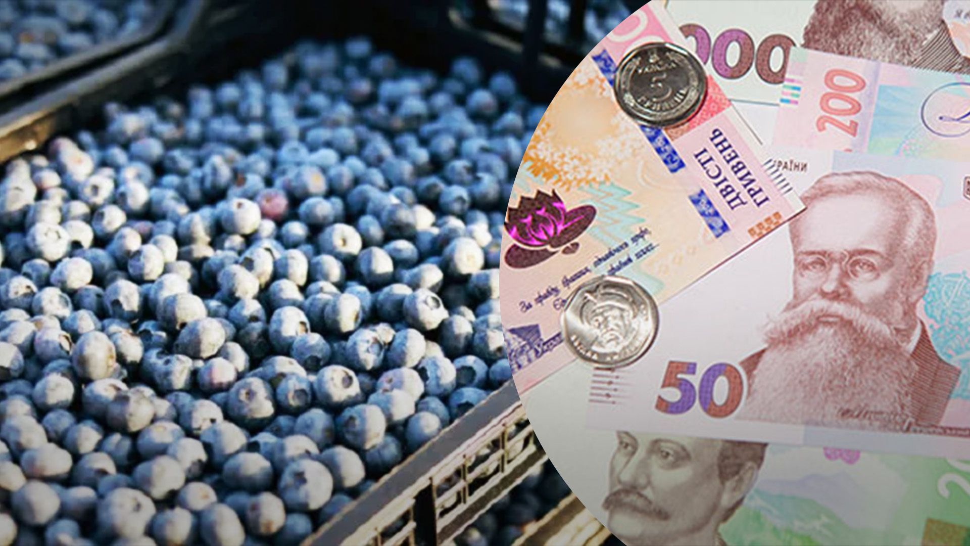 Голубика сильно подешевела Голубика сильно подешевела