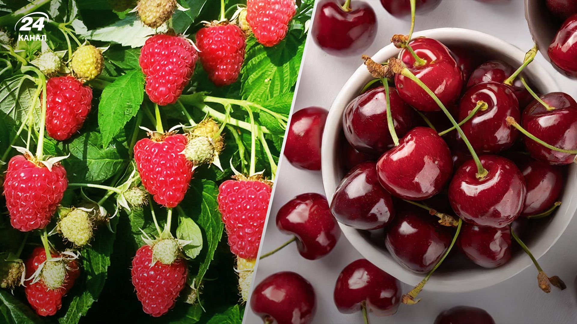 Цены на популярные ягоды упали Цены на популярные ягоды упали