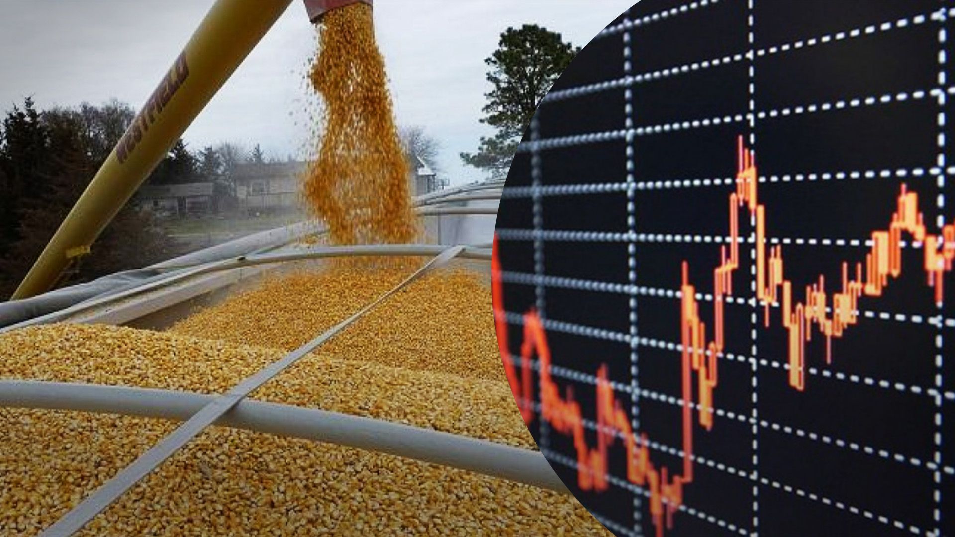 В Україні відкрили біржові торги агропродукцією В Україні відкрили біржові торги агропродукцією