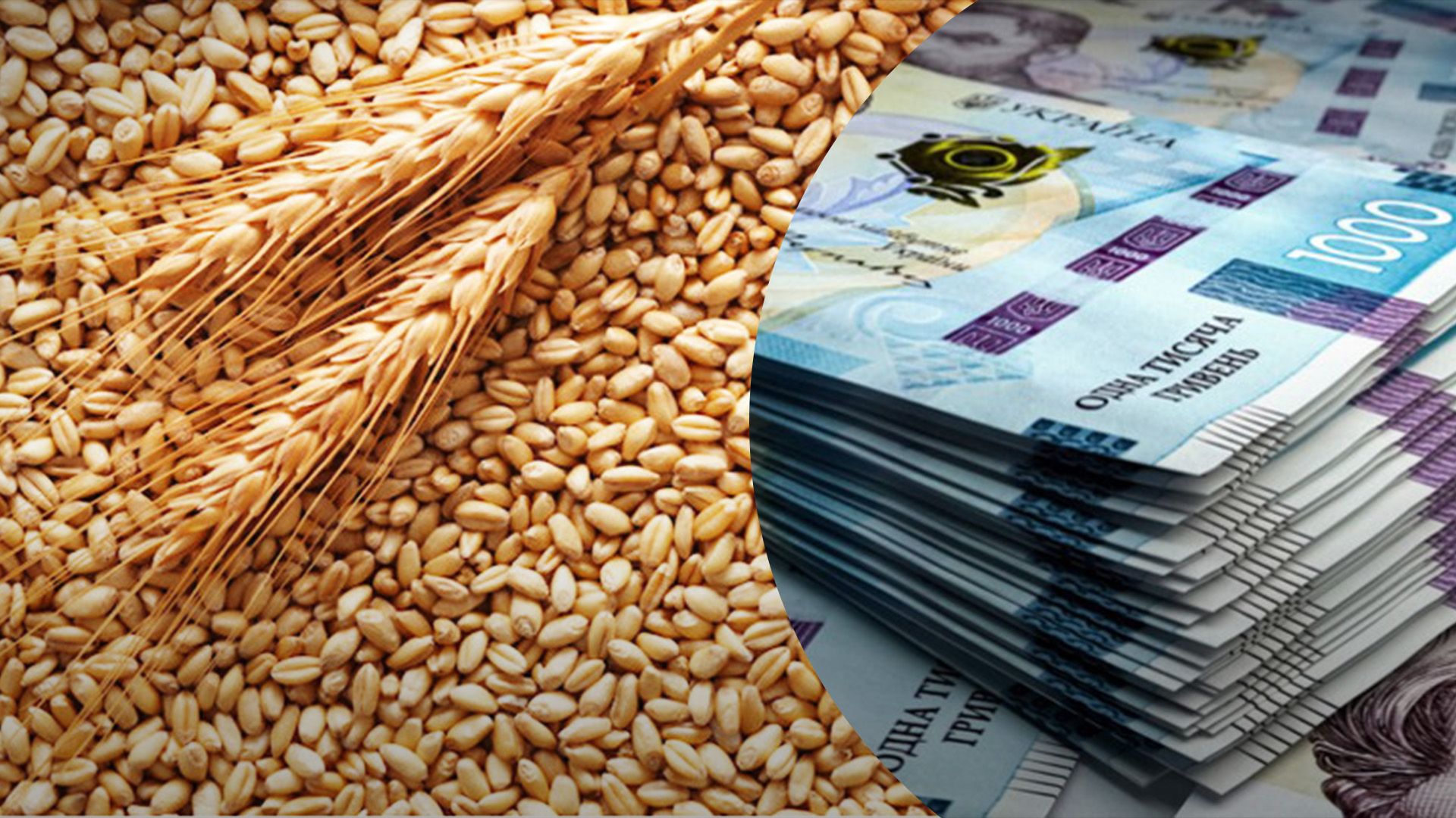 Пшеница в Украине подорожала в цене Пшеница в Украине подорожала в цене