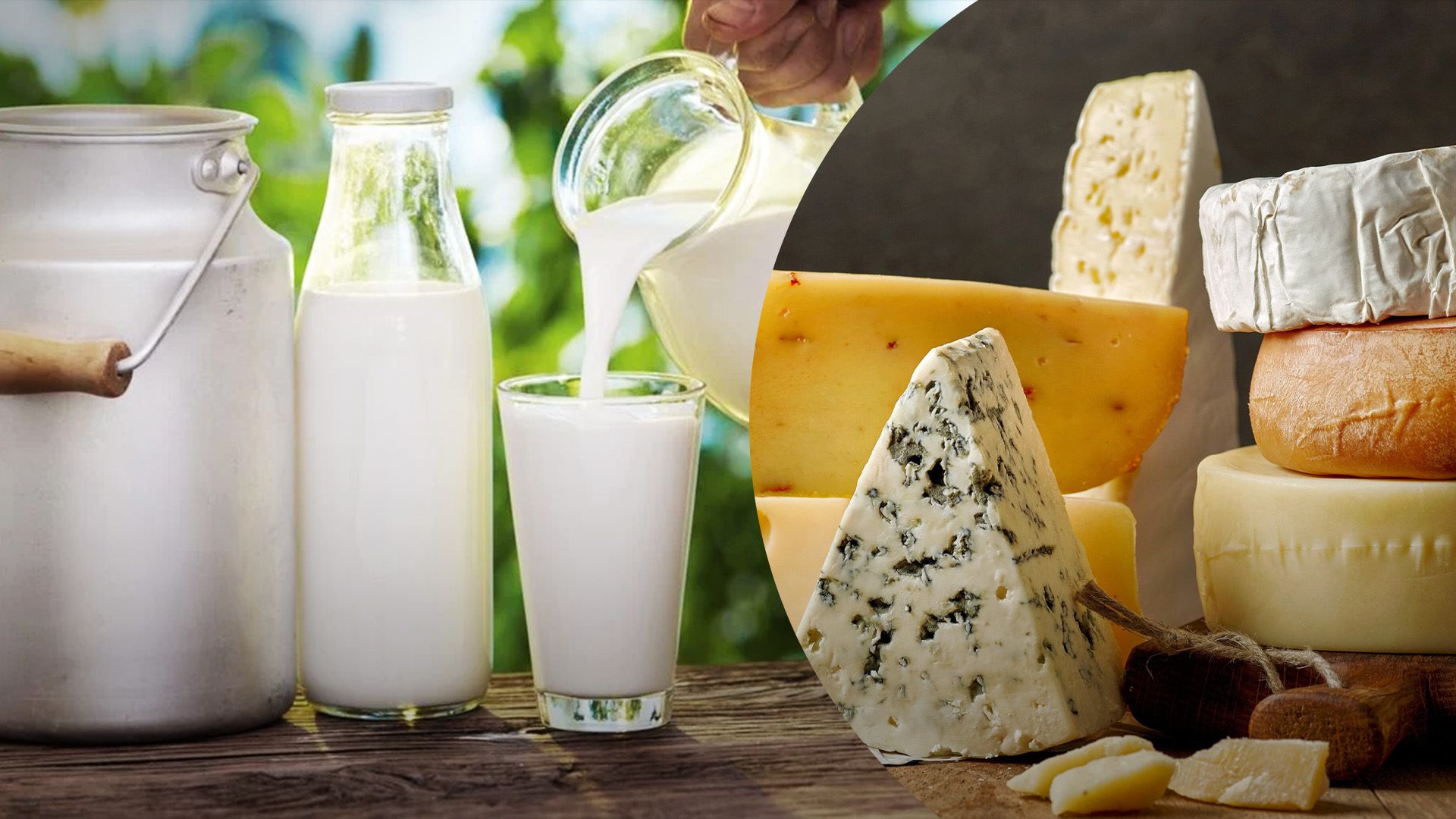 Ціни на українську "молочку" стабілізувались Ціни на українську "молочку" стабілізувались