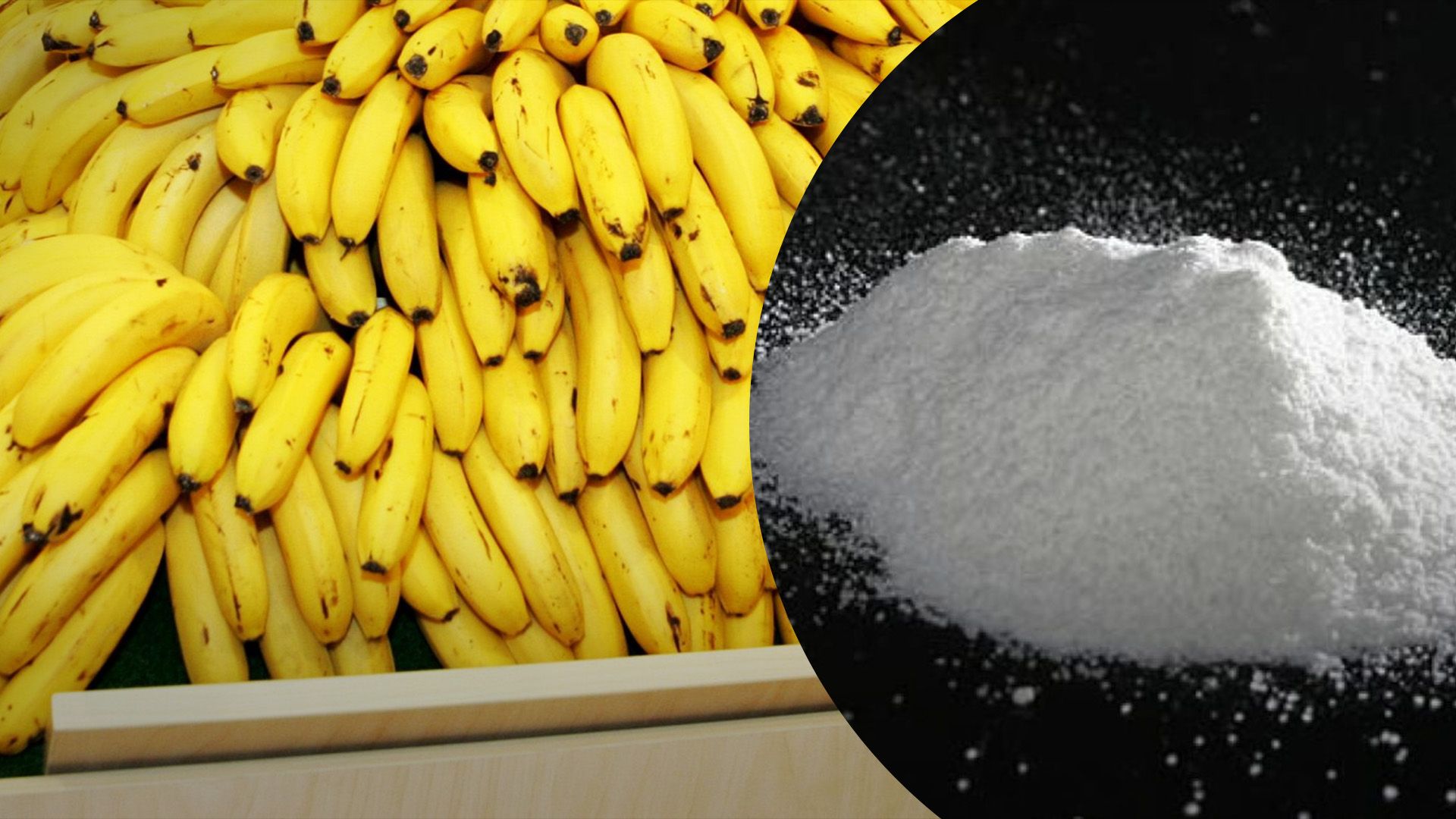 3 тони кокаїну у бананах прямували у Росію 3 тони кокаїну у бананах прямували у Росію