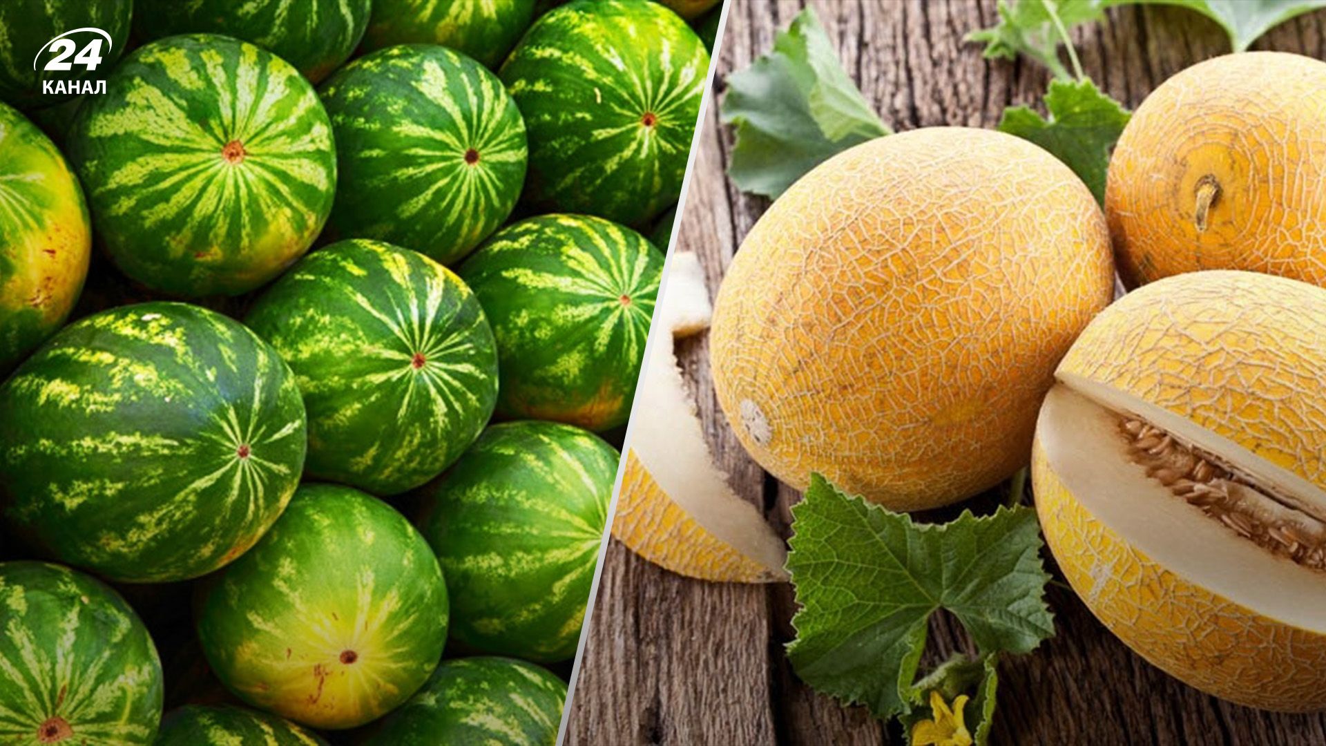 Які ціни на кавуни та дині Які ціни на кавуни та дині