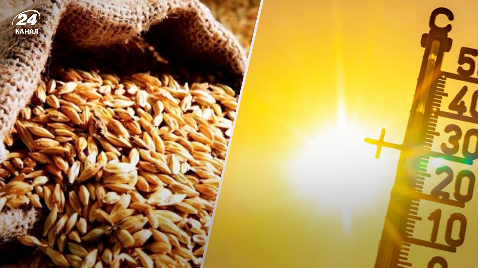 Спека вплине на світові ринки Спека вплине на світові ринки