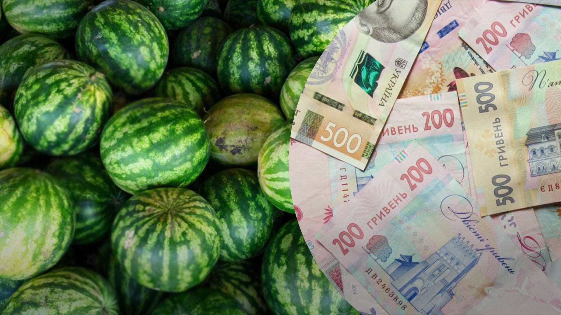 Кавуни подешевшали за рік Кавуни подешевшали за рік