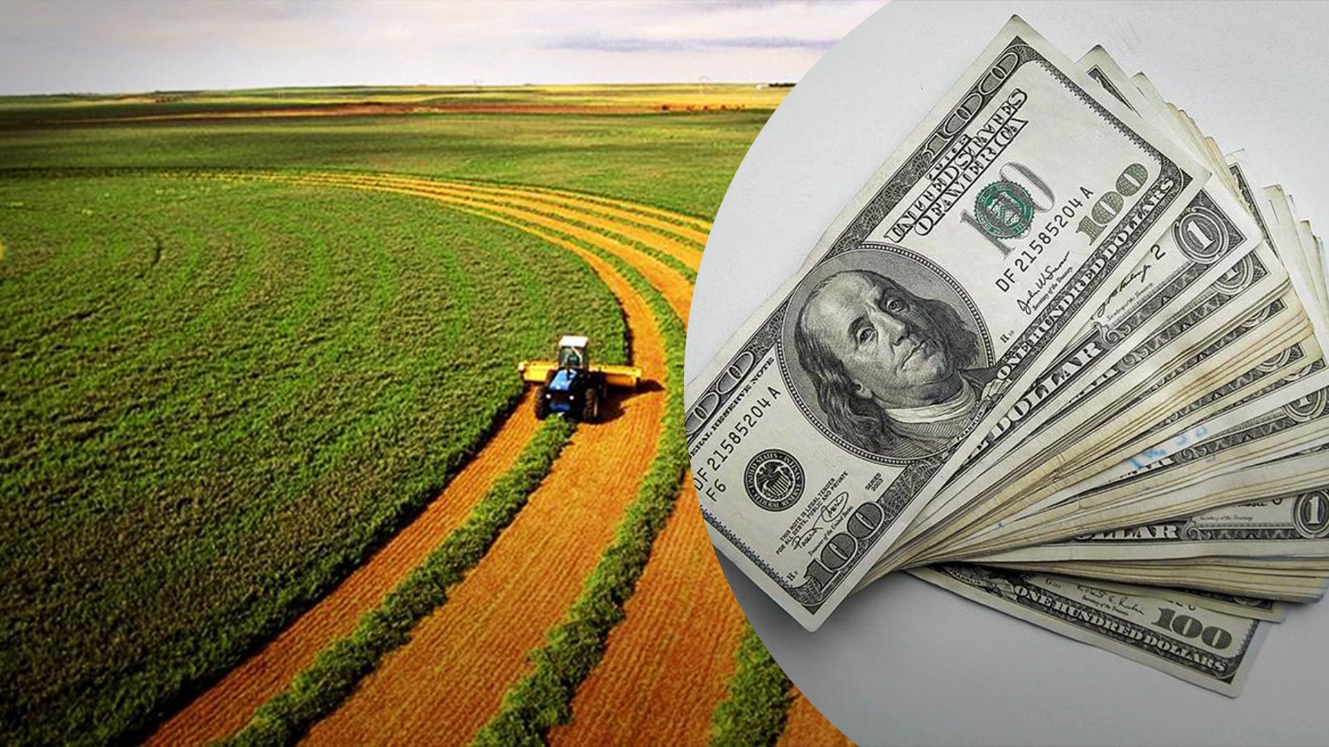 Найбільше земель продали на Полтавщині Найбільше земель продали на Полтавщині