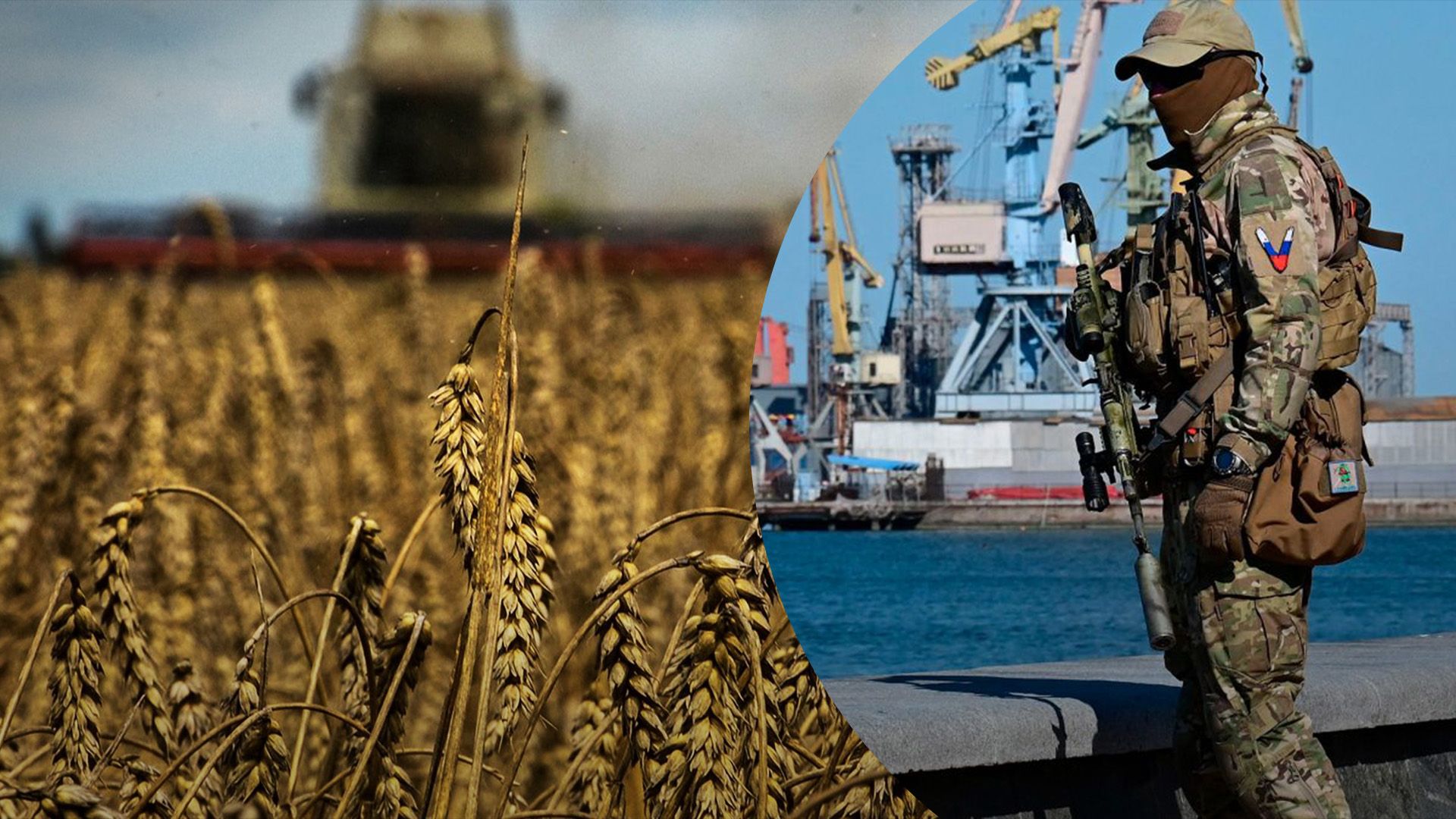 Россияне воруют украинское зерно Россияне воруют украинское зерно