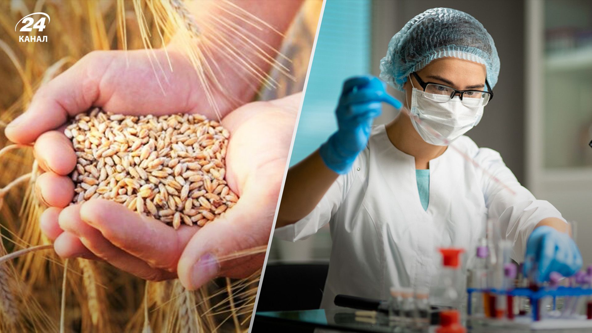 Британские ученые будут проверять происхождение российского зерна Британские ученые будут проверять происхождение российского зерна