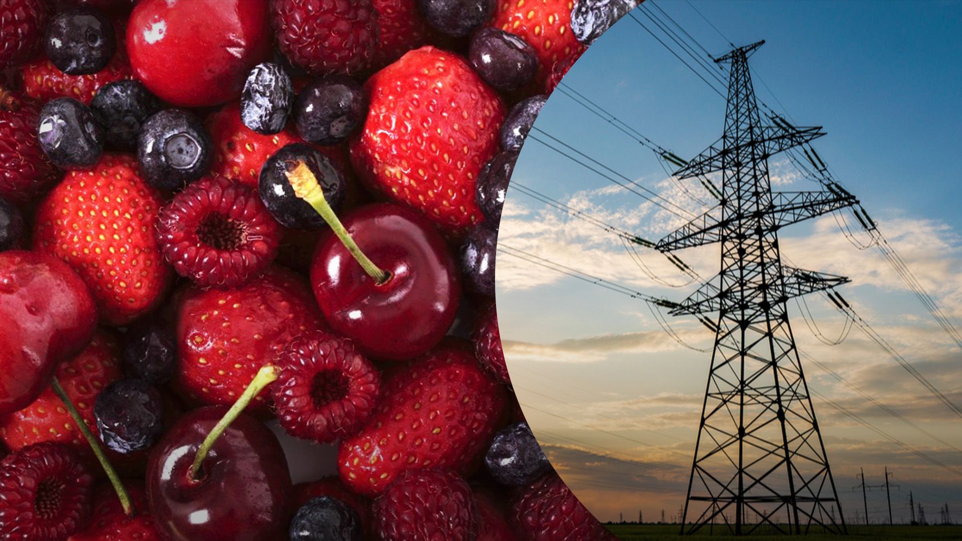 Как отключения света влияют на ягодоводство Как отключения света влияют на ягодоводство