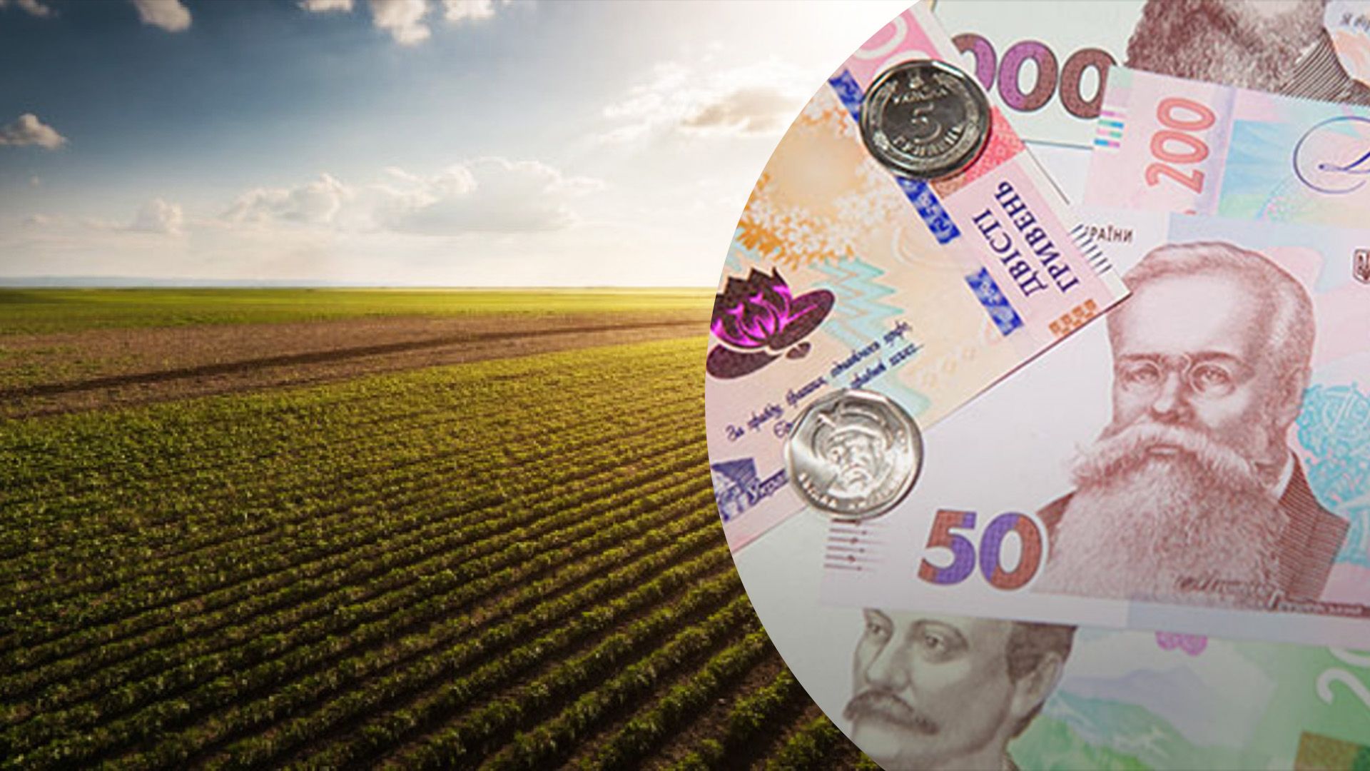 Ставка оренди землі зросте Ставка оренди землі зросте