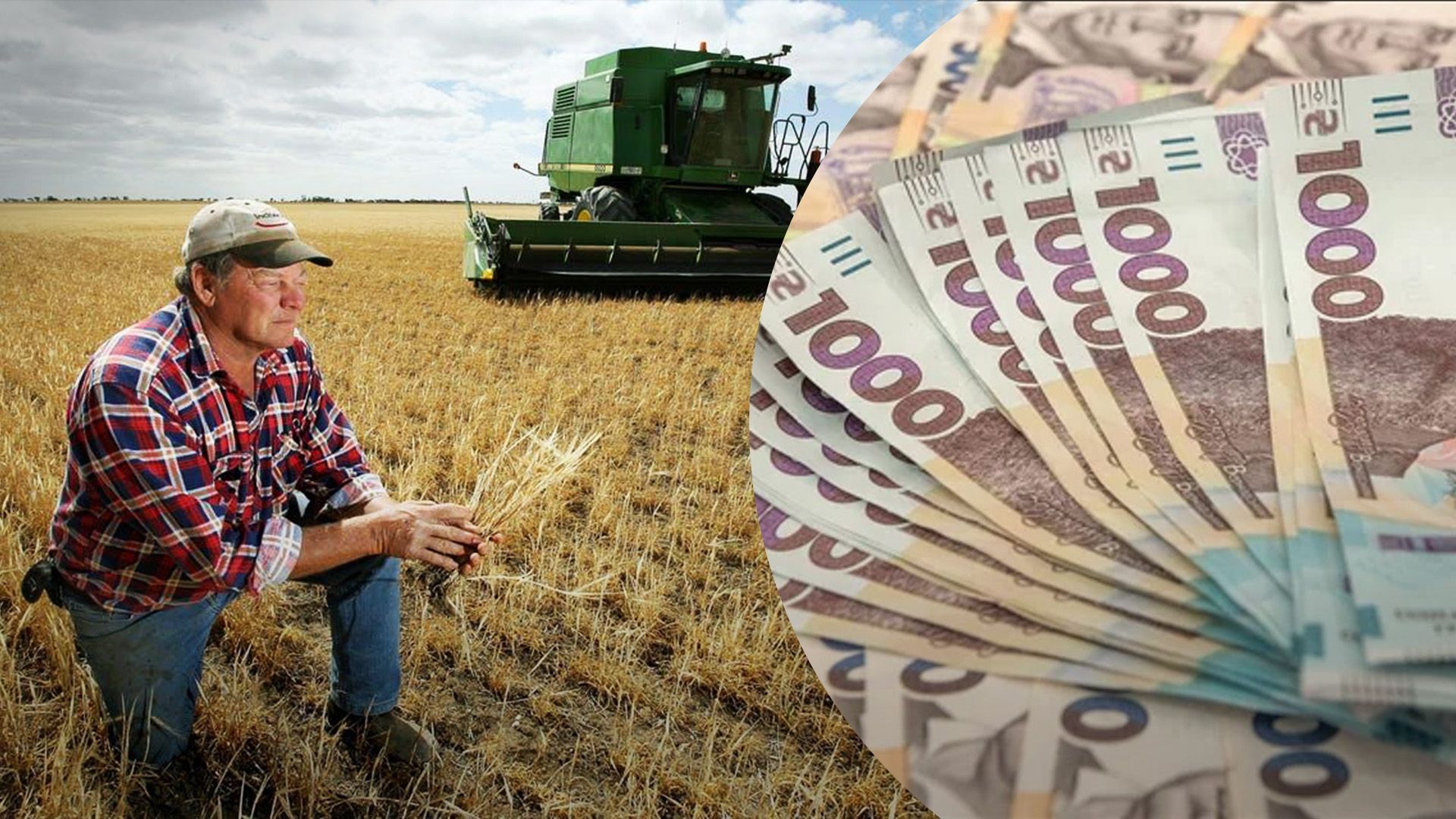 Аграрії отримали 25 мільярдів за програмою "5-7-9" Аграрії отримали 25 мільярдів за програмою "5-7-9"