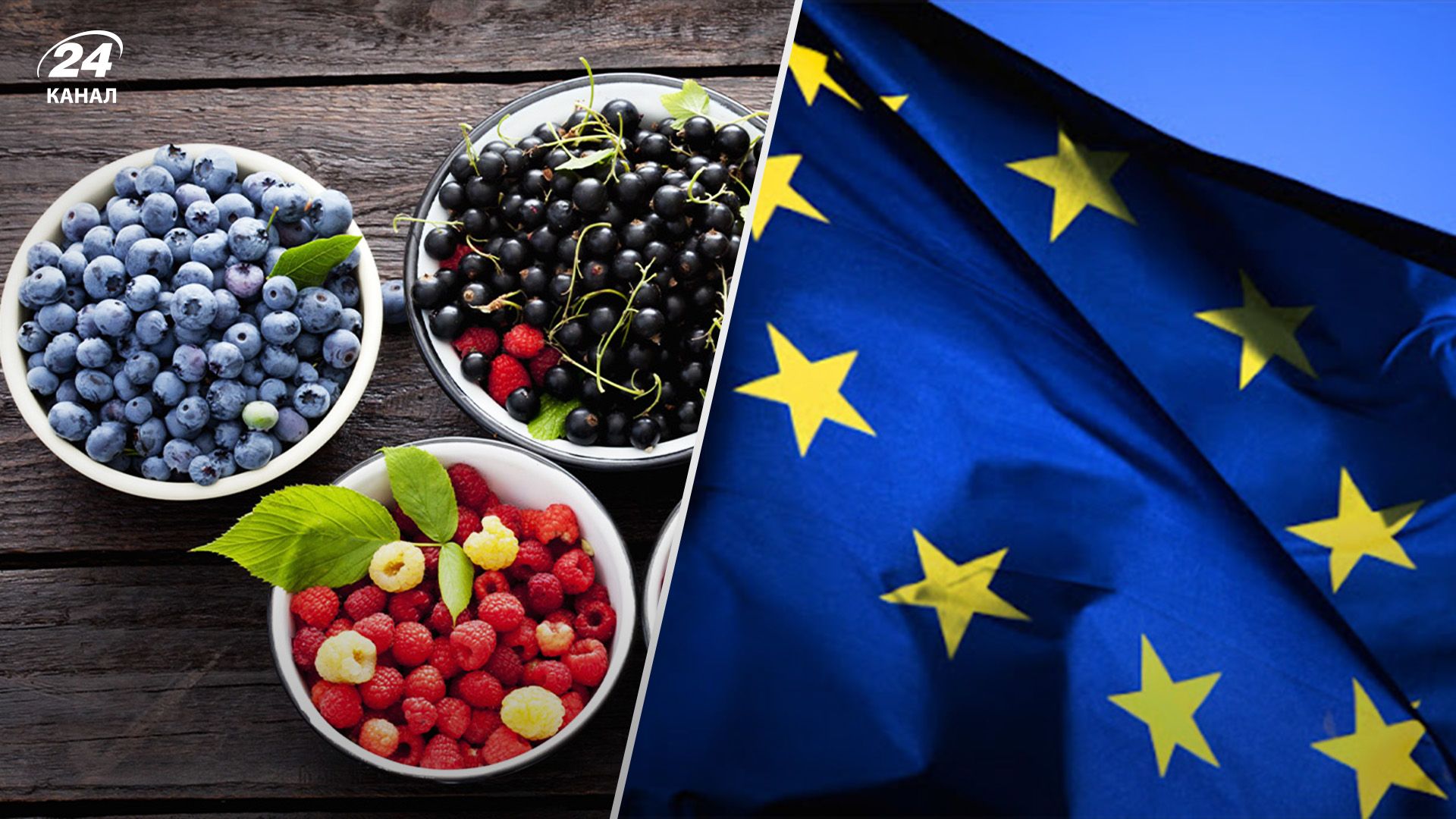 Ягоды из Украины способны конкурировать на рынке ЕС Ягоды из Украины способны конкурировать на рынке ЕС