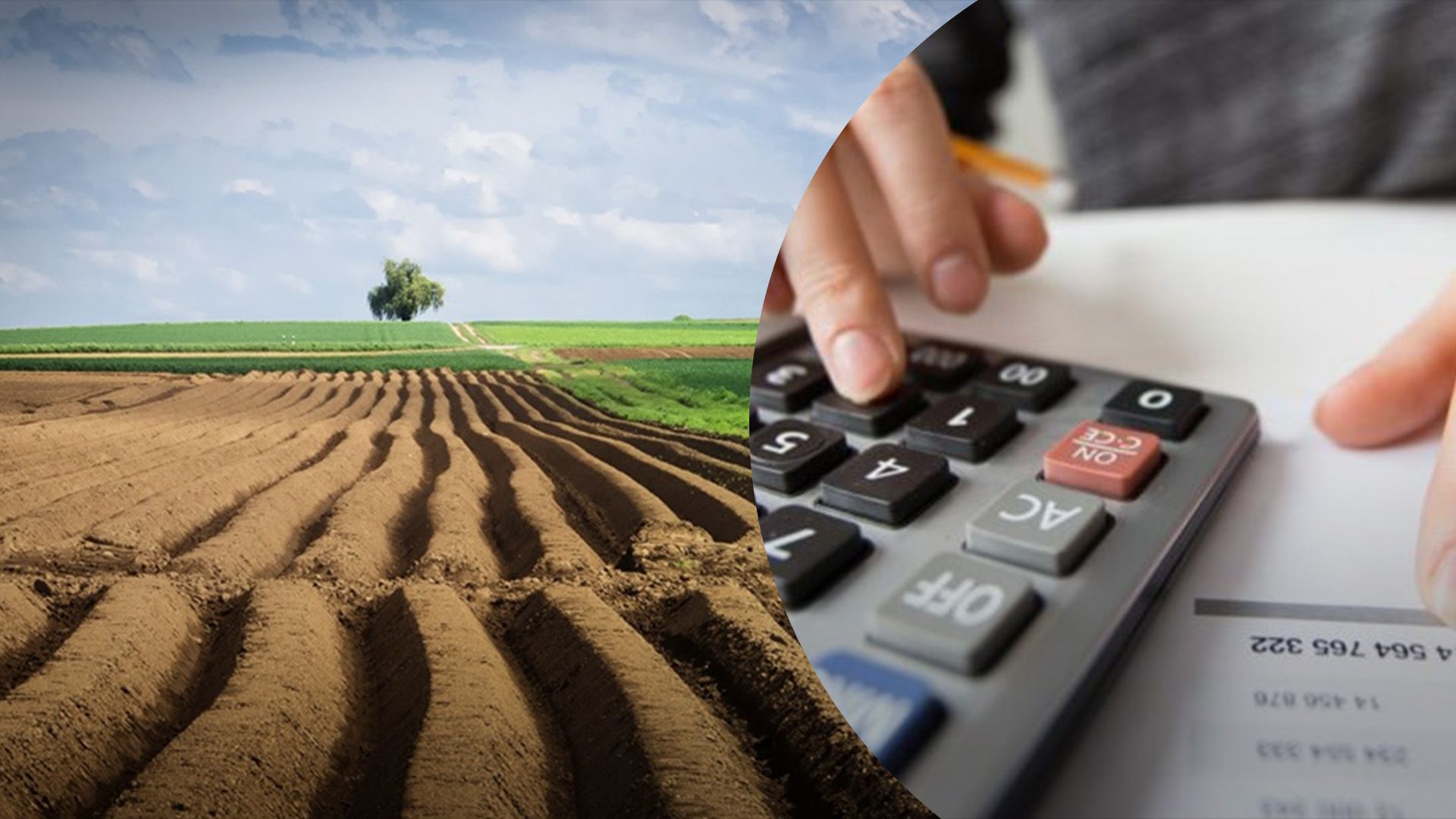 Имеют ли право иностранцы не платить земельный налог Имеют ли право иностранцы не платить земельный налог