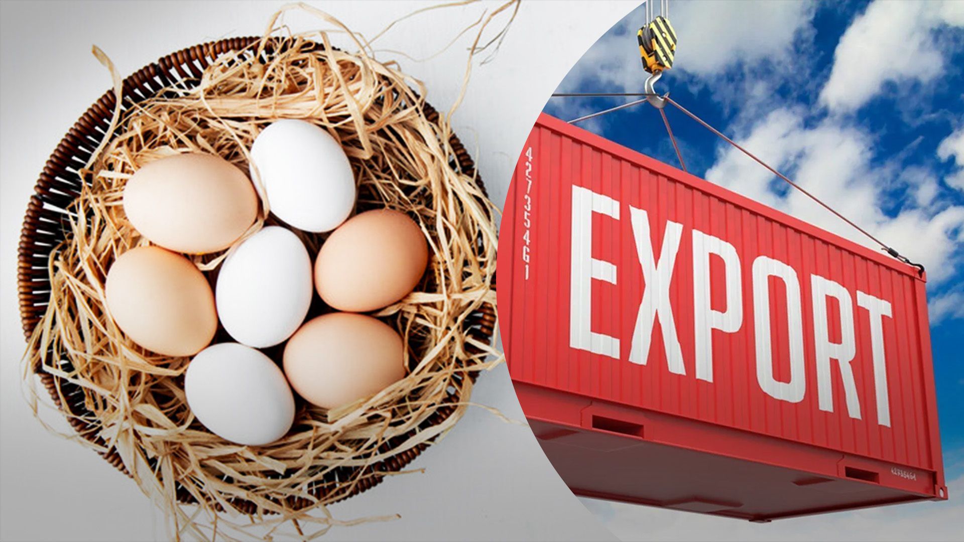 Україна збільшила експорт яєць Україна збільшила експорт яєць