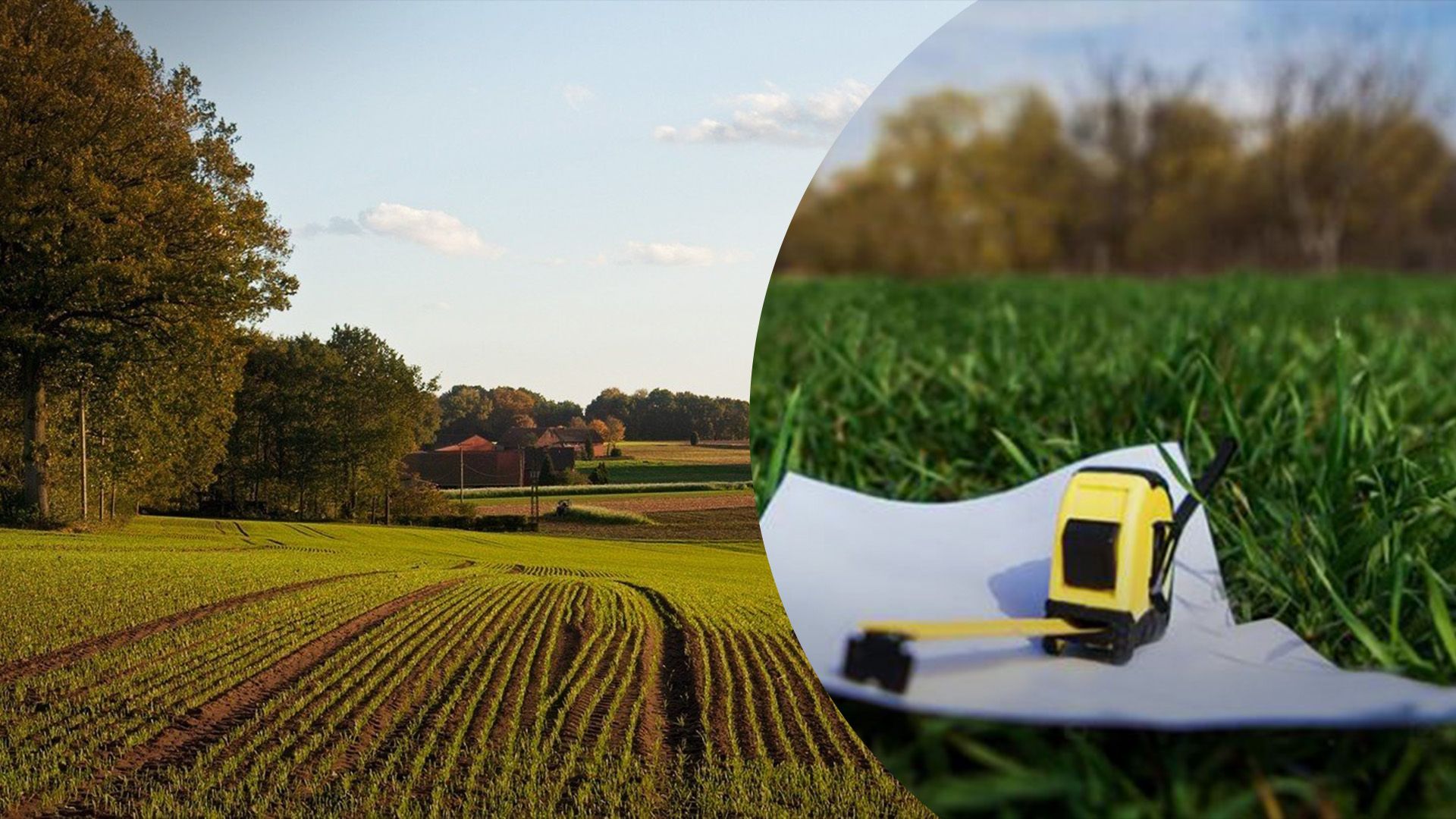 Какой участок с площадью можно приобрести Какой участок с площадью можно приобрести