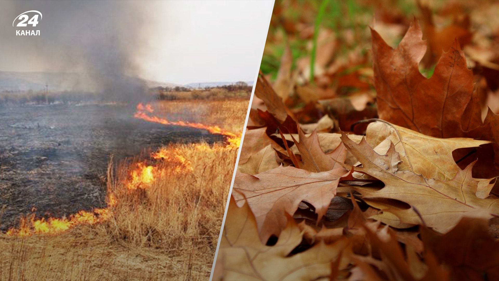 За поджоги травы хотят ужесточить наказание За поджоги травы хотят ужесточить наказание