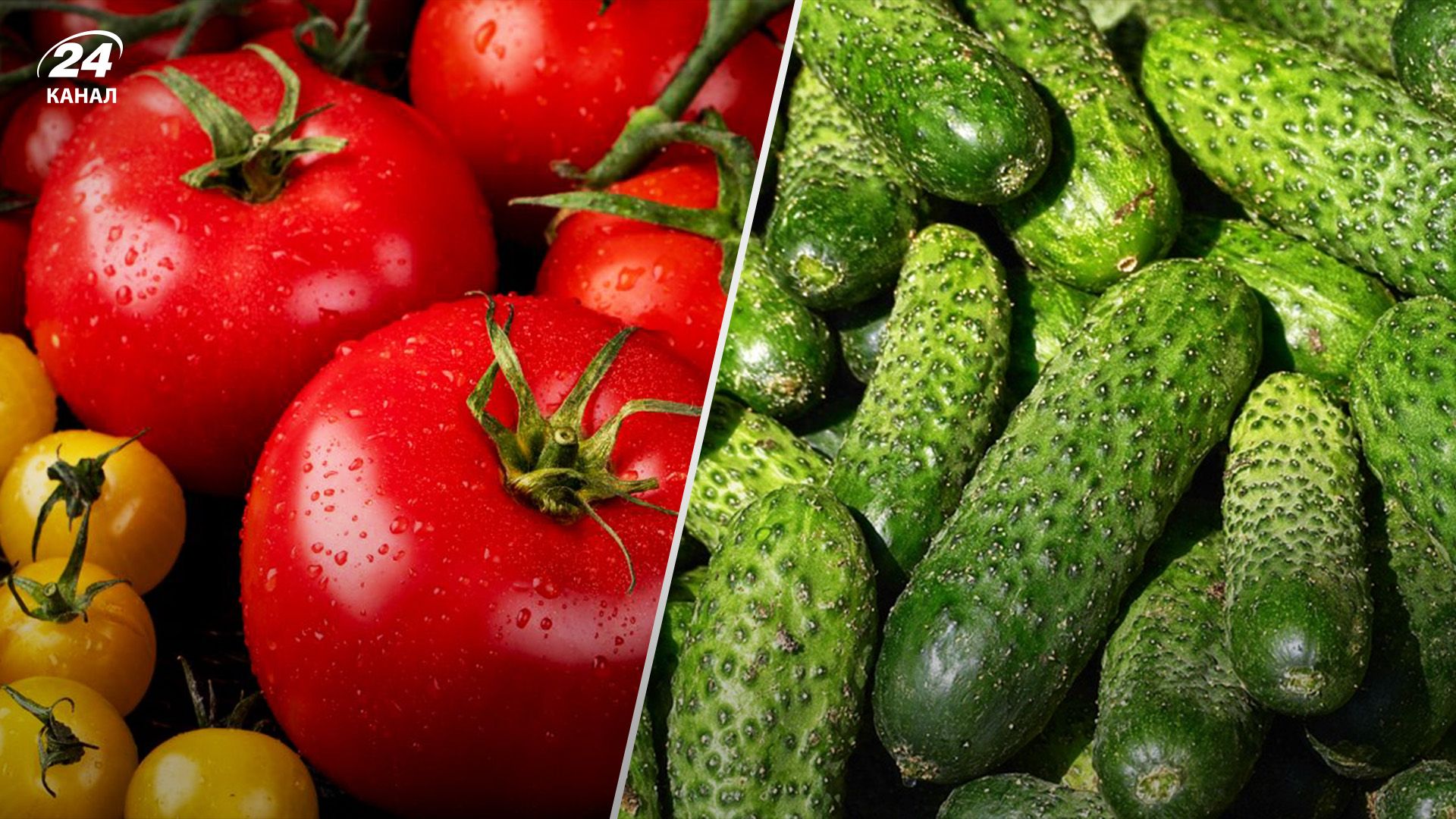 Помідори та огірки дешевшають Помідори та огірки дешевшають