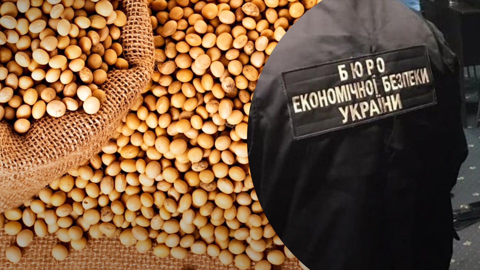 БЭБ раскрыло незаконную попытку вывоза сои БЭБ раскрыло незаконную попытку вывоза сои