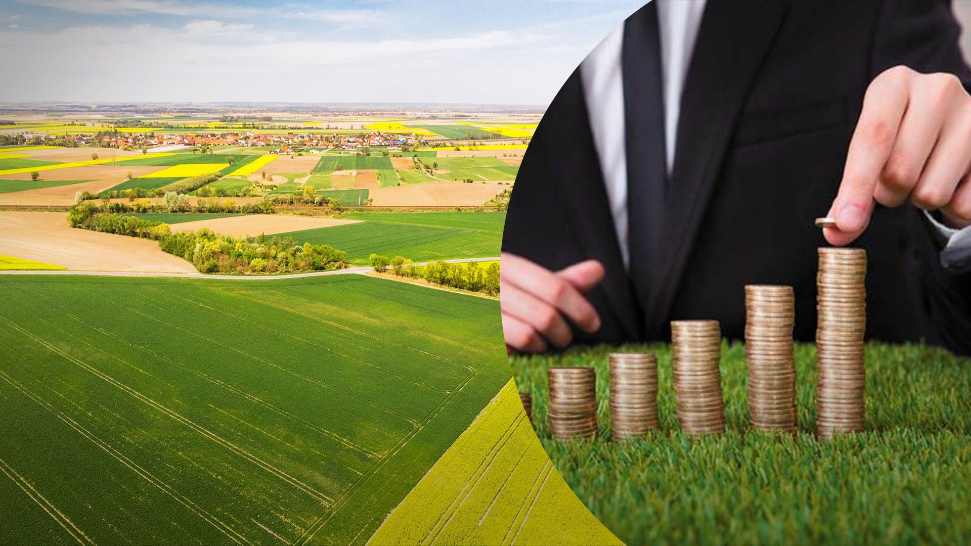 Налог на землю в 2024 году Налог на землю в 2024 году