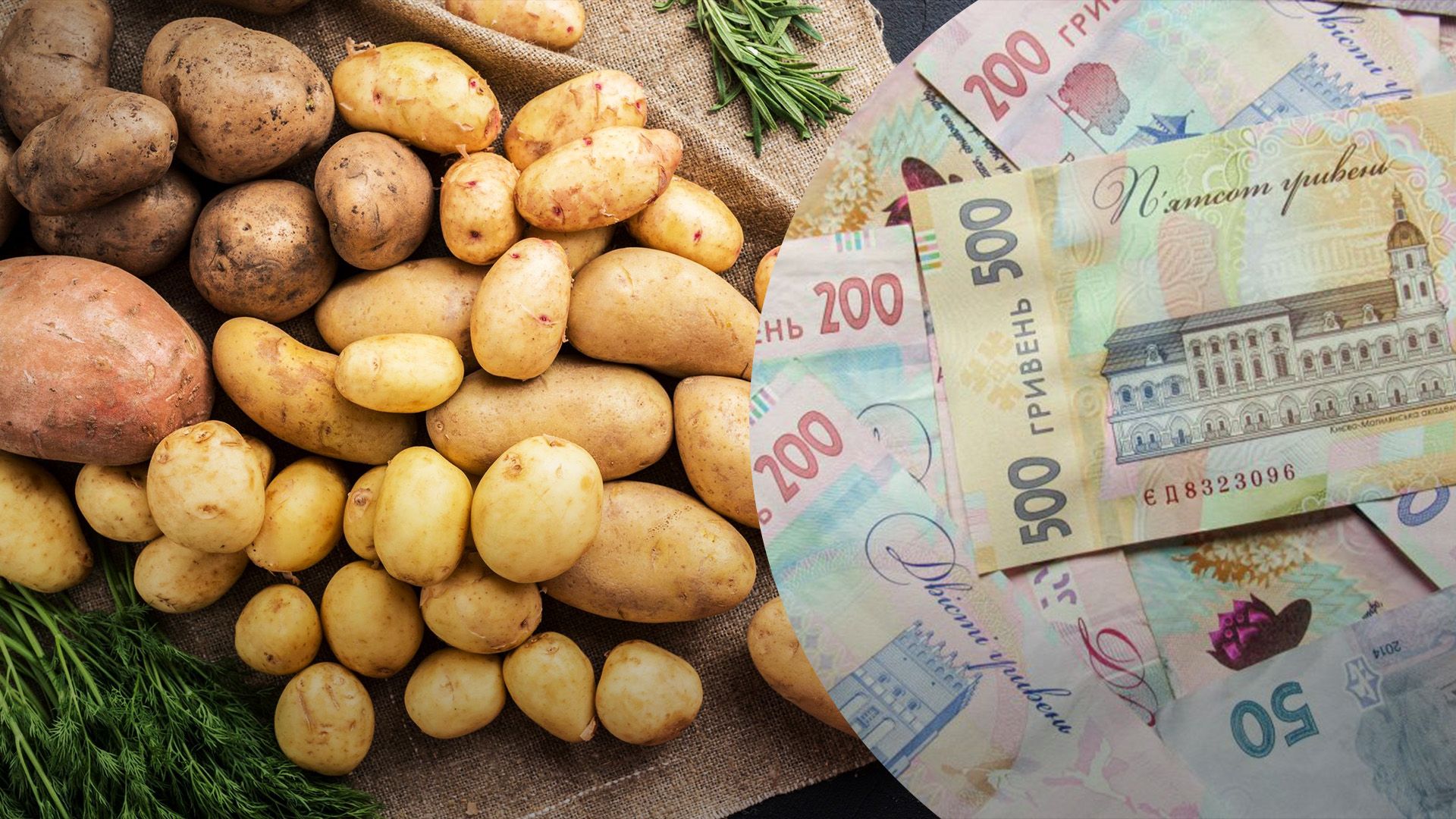 Картопля продовжує дешевшати Картопля продовжує дешевшати