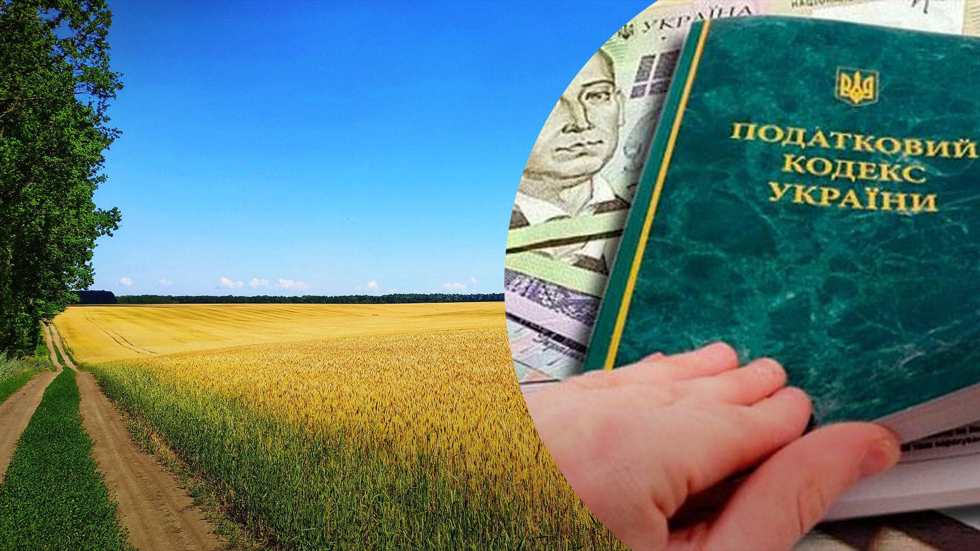 Должны ли инвалиды платить налог на землю Должны ли инвалиды платить налог на землю