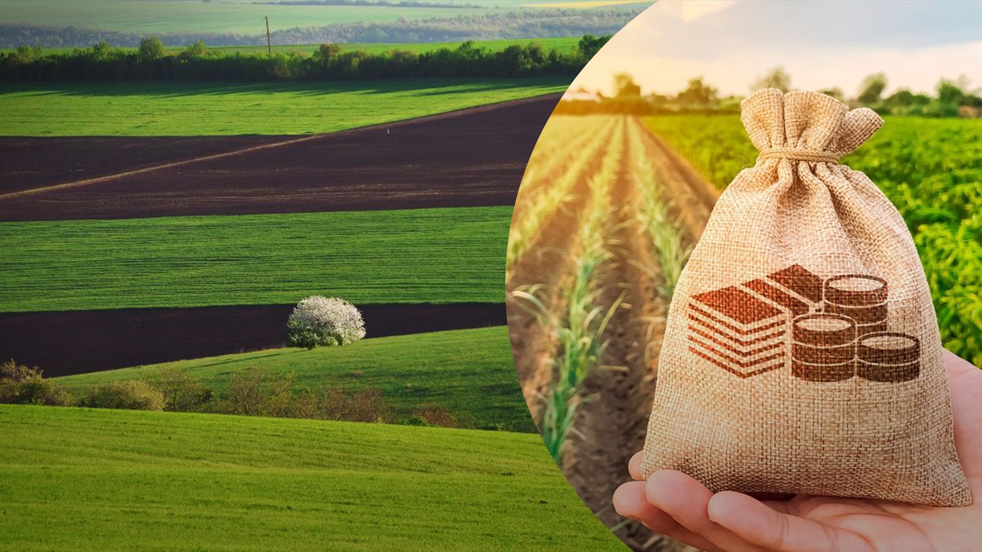 Кто платит налог за землю Кто платит налог за землю