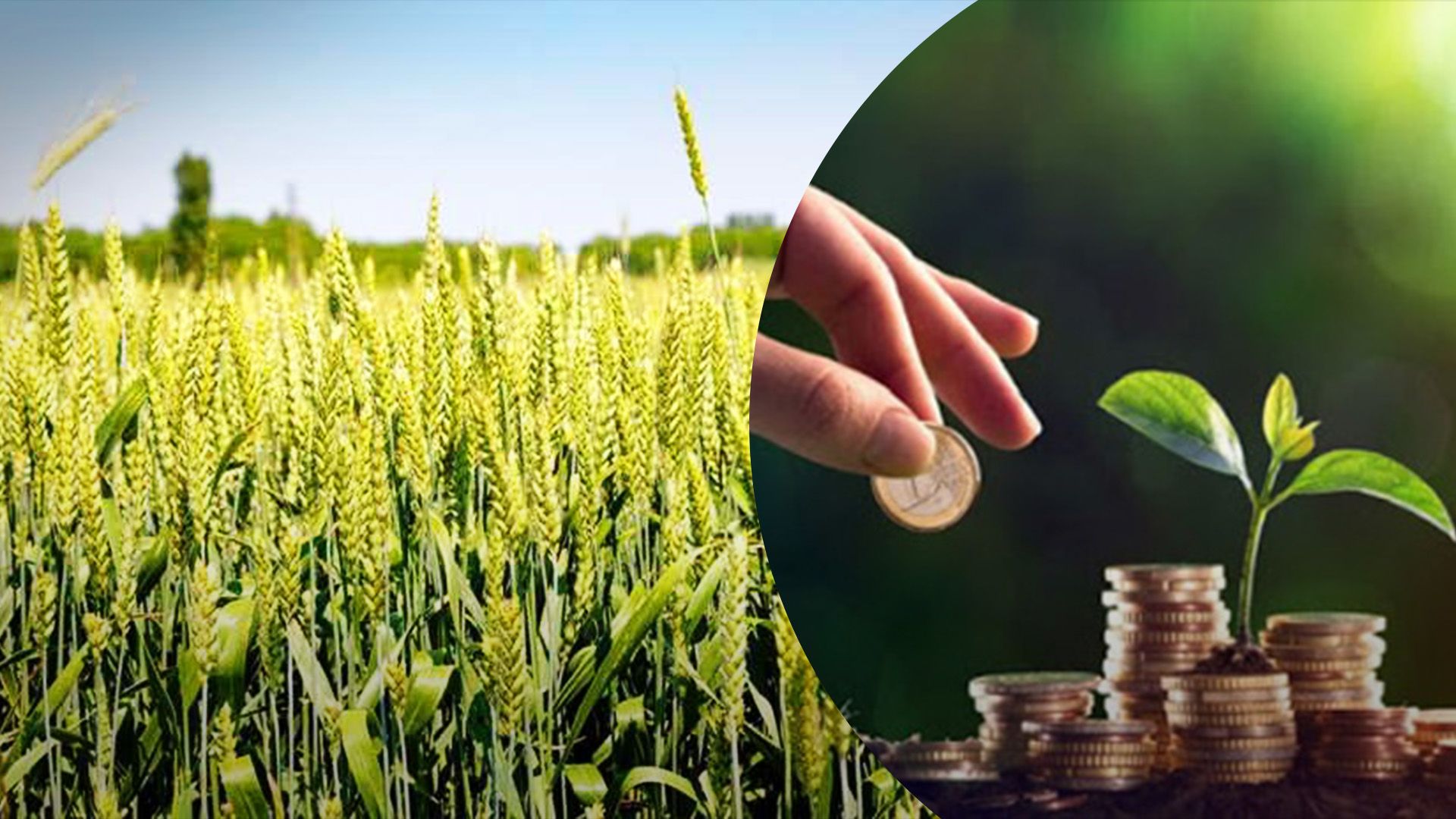 Як дізнатись суму податку за землю Як дізнатись суму податку за землю