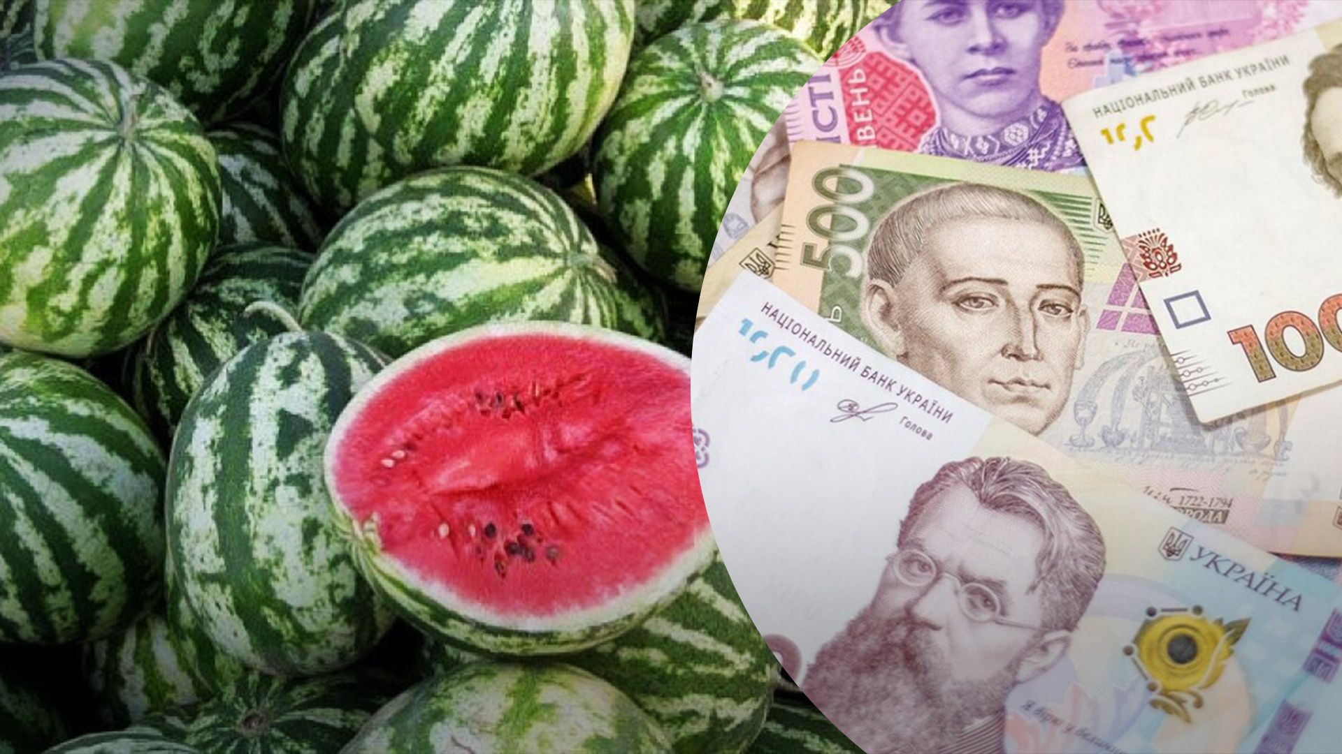 Кавуни дешевшають Кавуни дешевшають