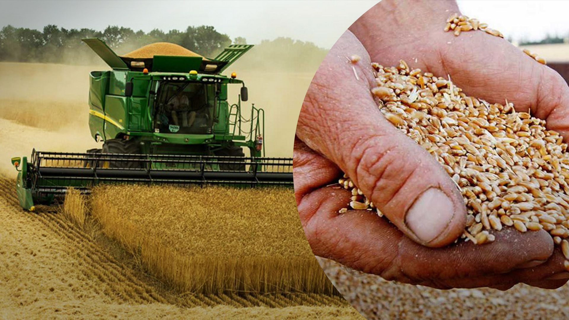 Когда началась жатва в этом году Когда началась жатва в этом году