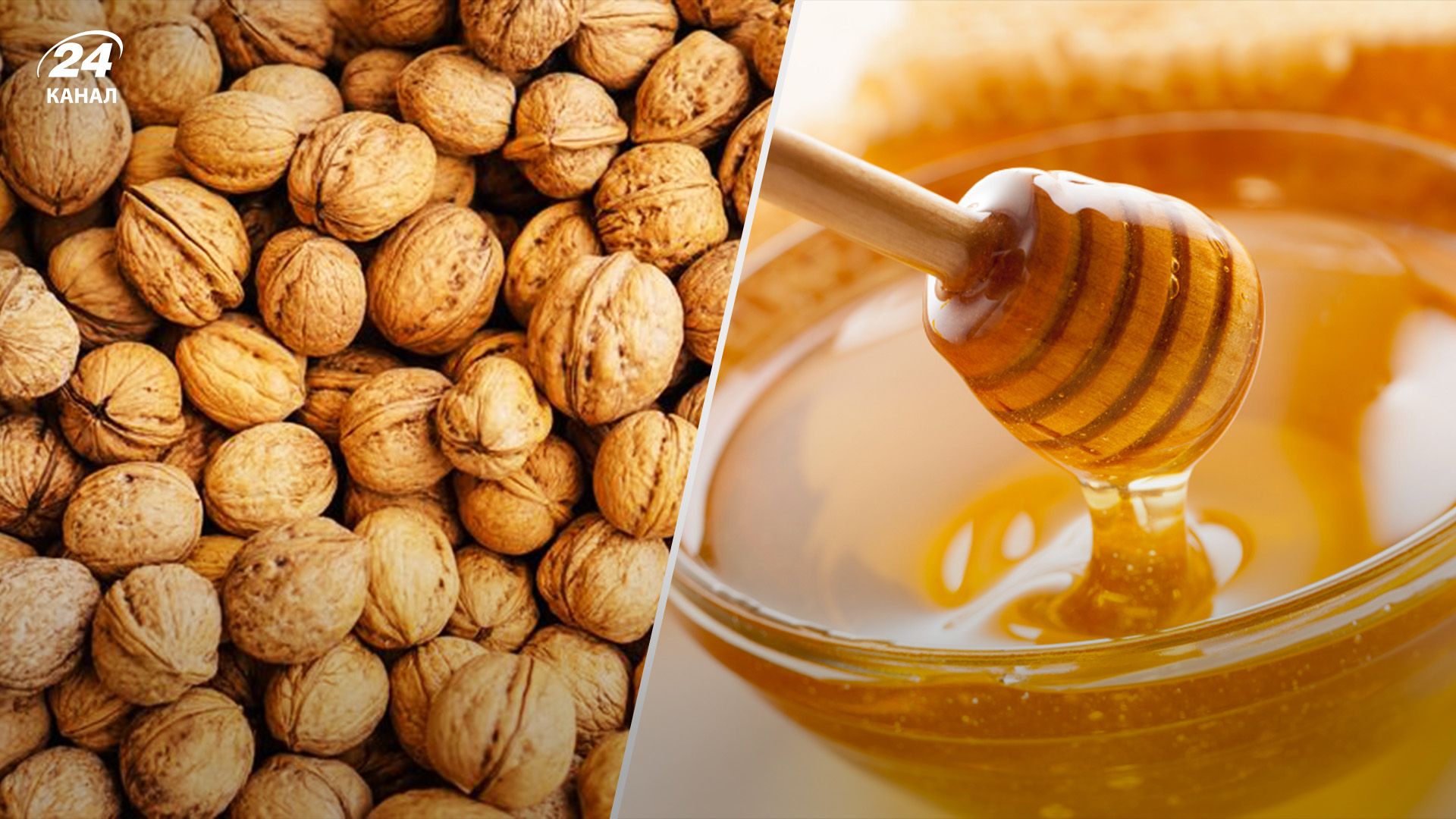 Украина увеличила экспорт агропродукции в Украину Украина увеличила экспорт агропродукции в Украину