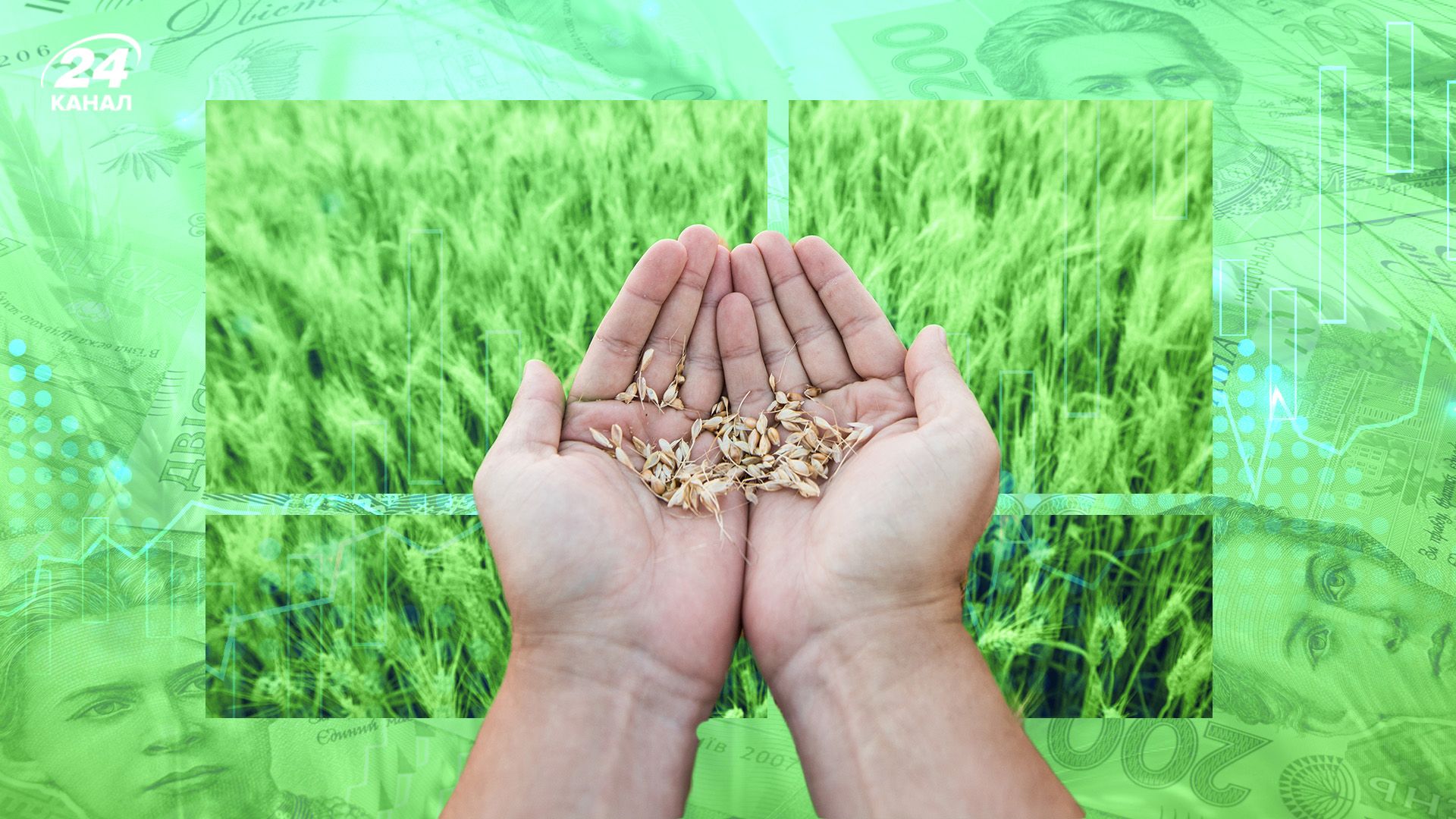 Українське зерно дорожчає Українське зерно дорожчає