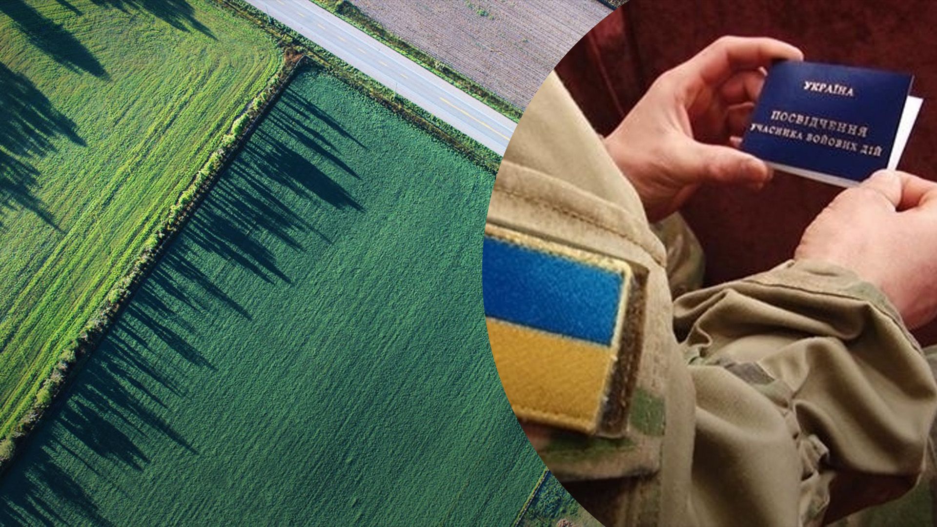 Хто має пільги на отримання землі Хто має пільги на отримання землі