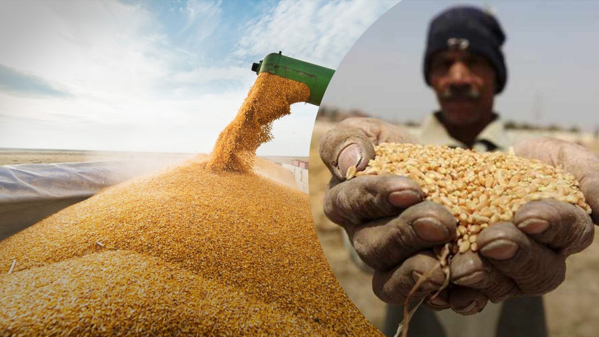 Украина увеличила экспорт в Африку и ЕС Украина увеличила экспорт в Африку и ЕС