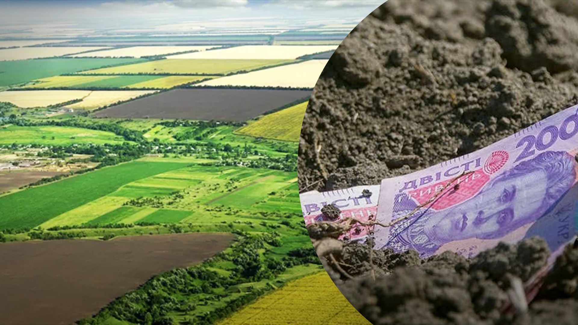 Хто може не платити земельний податок Хто може не платити земельний податок