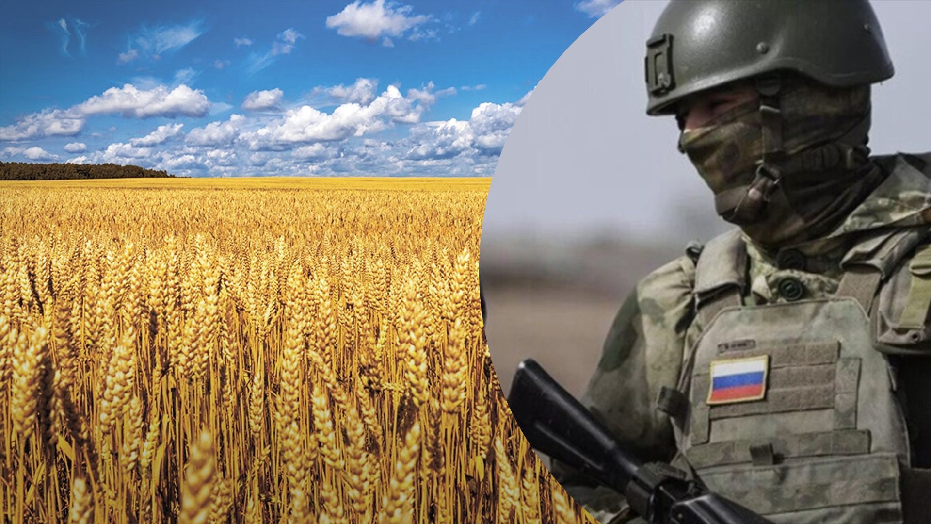 Окупанти штрафують за низьку урожайність Окупанти штрафують за низьку урожайність