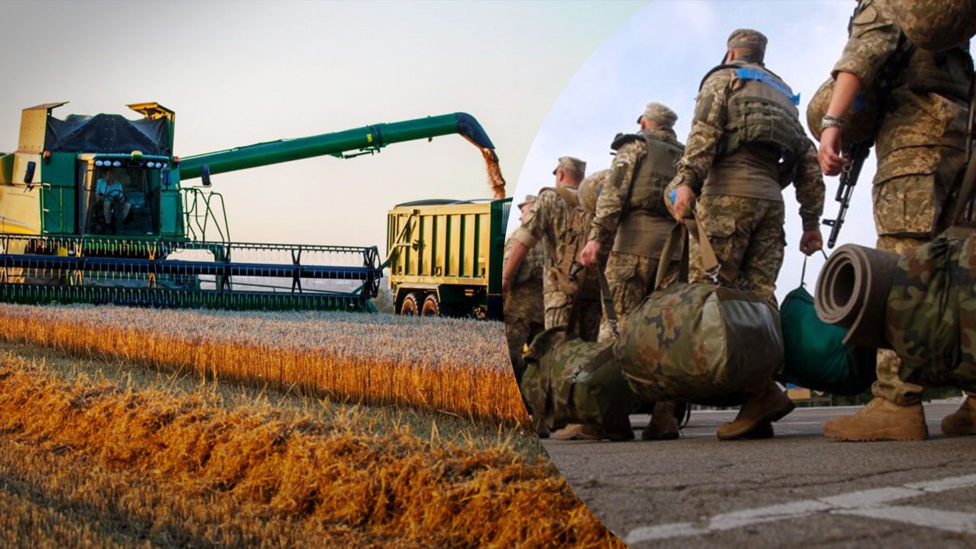 Чи мають аграрії бронювання від мобілізації: як це відбувається - Агро