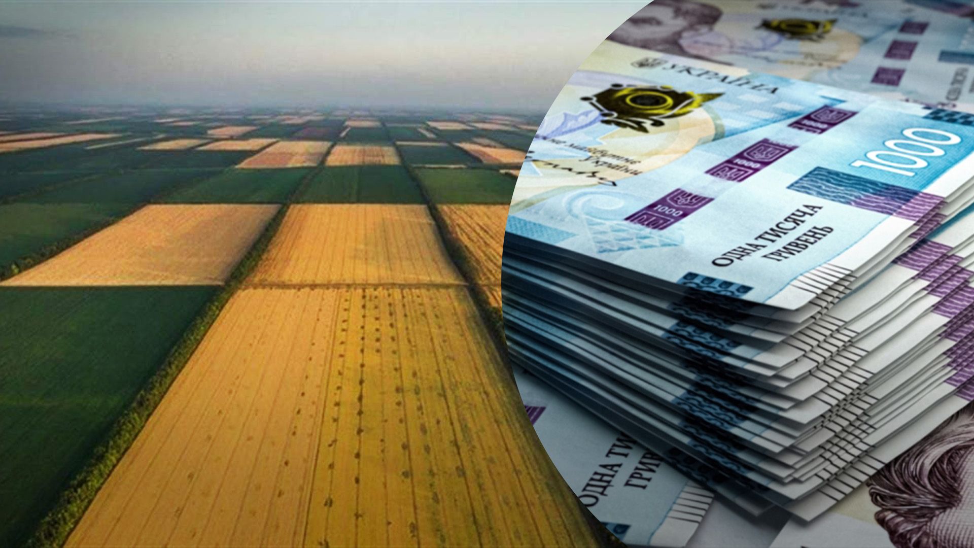 Яка вартість земельного паю Яка вартість земельного паю