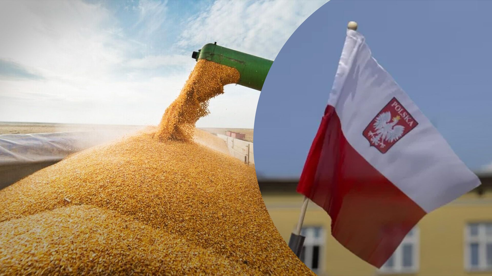 Польша проверяет вероятных мошенников с зерном Польша проверяет вероятных мошенников с зерном