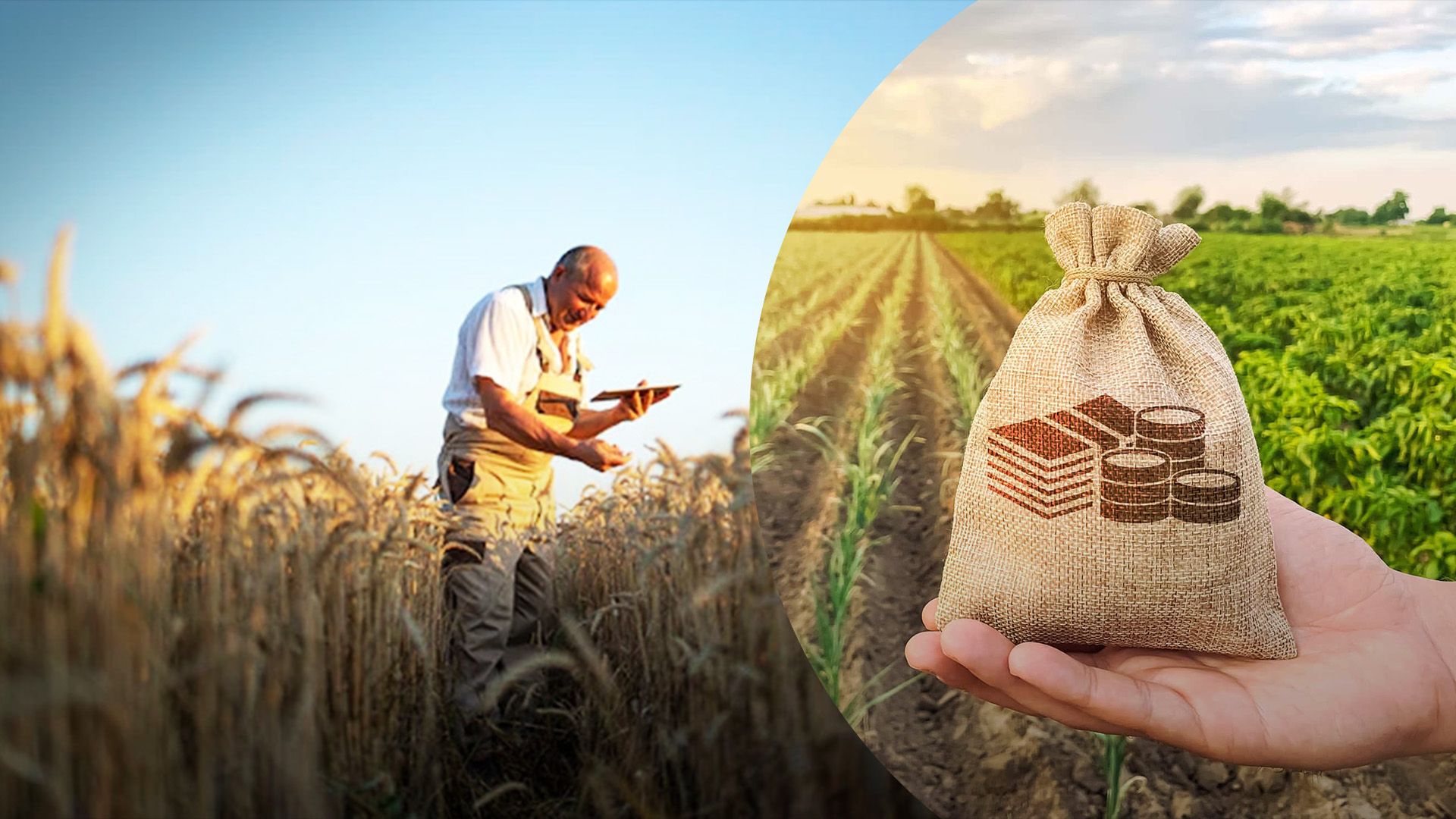 Які види підтримки аграріїв діють у 2024 році Які види підтримки аграріїв діють у 2024 році