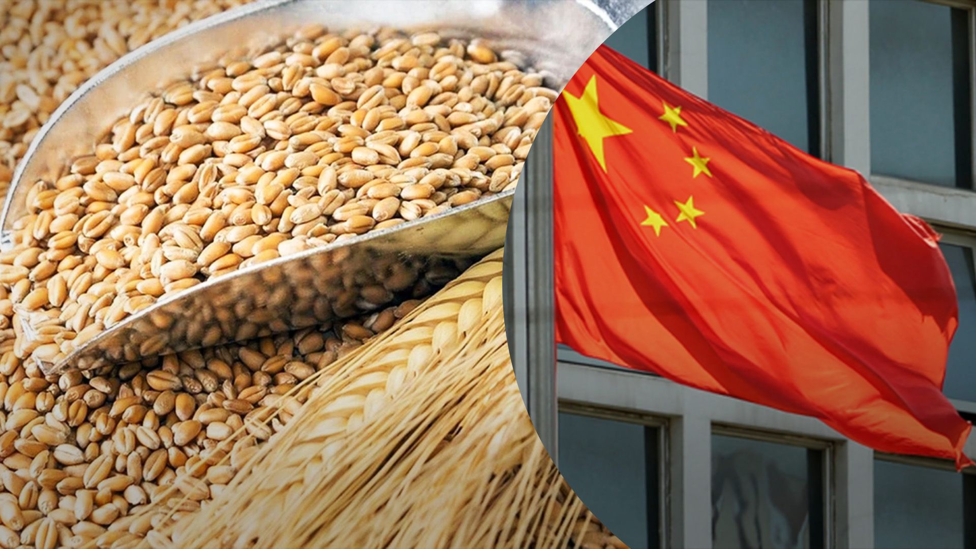 Китай планирует больше покупать украинского зерна Китай планирует больше покупать украинского зерна