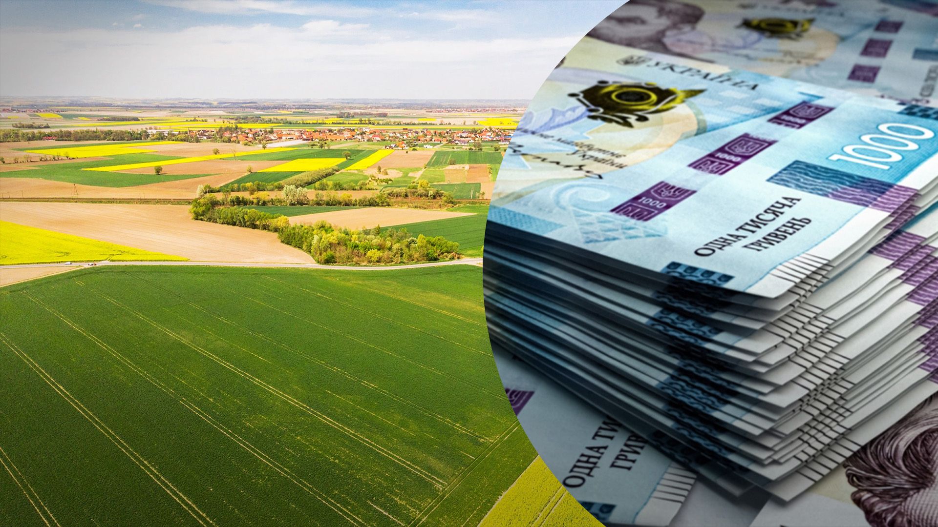 Хто може купити землю в Україні Хто може купити землю в Україні