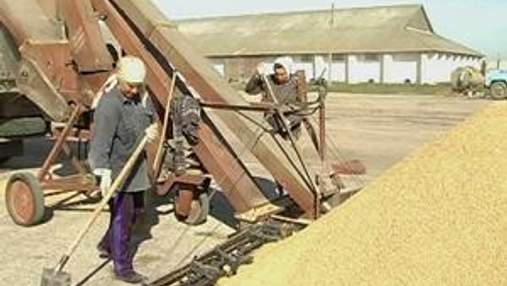 Державну продовольчо-зернову корпорацію України найближчим часом можуть акціонувати