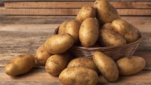 Мороз – не проблема: ученые вывели новый сорт картофеля